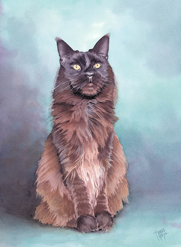 Retrato de gato señorial